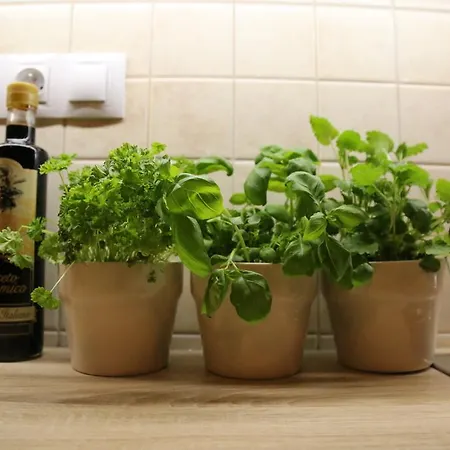Appartement Krtek Modern & Central By Easybnb Prague